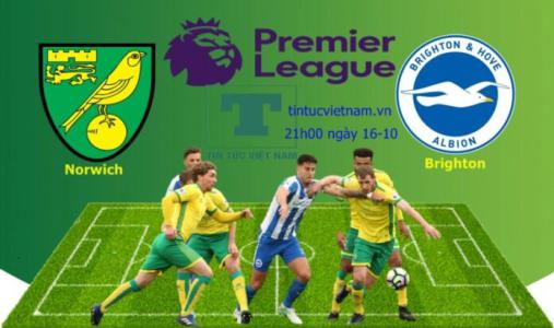 Trực tiếp bóng đá Norwich vs Brighton: Đội khách tiếp tục bay cao?