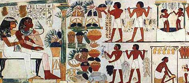 Người Ai Cập cổ đại ăn gì hàng ngày?
