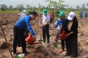 101.000 cây xanh được trồng mới trong chương trình Triệu cây xanh - Vì một Việt Nam xanh năm 2022