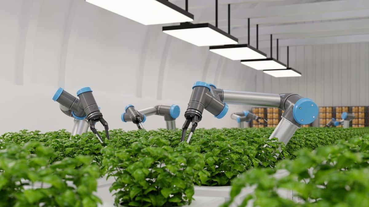 AI, trí thông minh nhân tạo, nông nghiệp