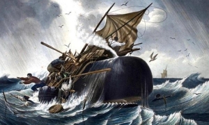 Chú cá voi khổng lồ bí ẩn từng khiến thủy thủ Constantinope khiếp sợ
