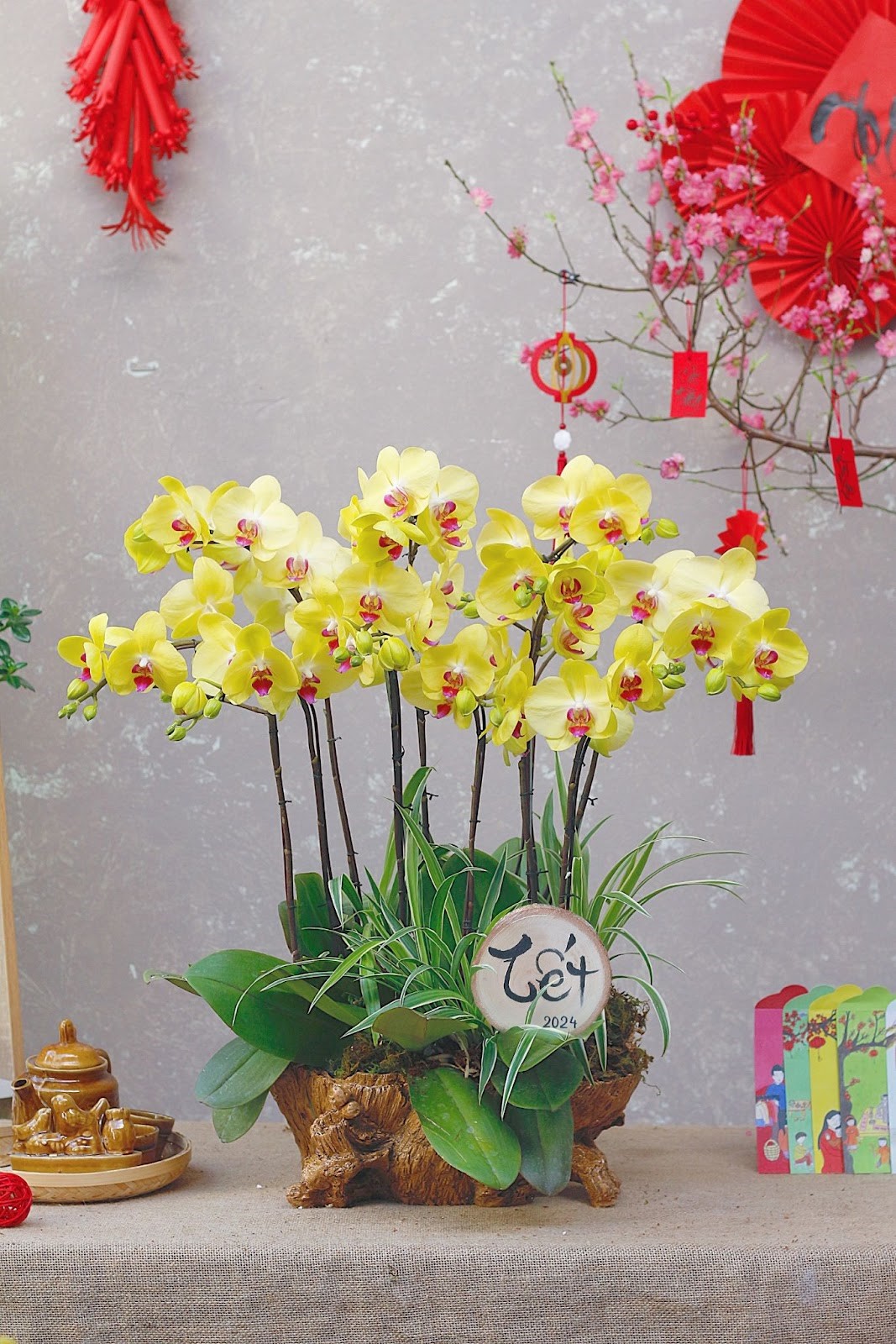 Hoa Theo Mùa, bộ sưu tập, hoa lan, Tết 2024