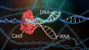 CRISPR: Chìa khóa giúp nhân loại kiểm soát đại dịch virus